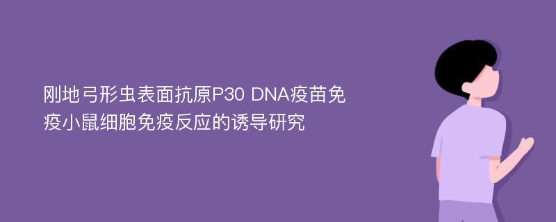 刚地弓形虫表面抗原P30 DNA疫苗免疫小鼠细胞免疫反应的诱导研究